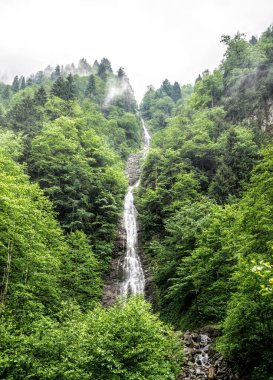 Türkiye 'de dağ pınarı ve şelale