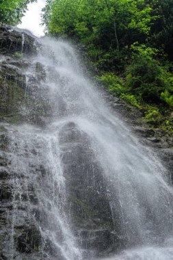 Türkiye 'de dağ pınarı ve şelale