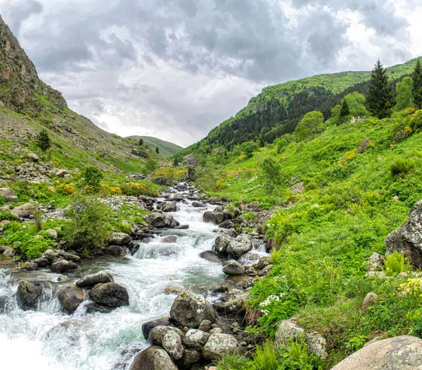 Bahar Vadisi ve Hızlı Nehir