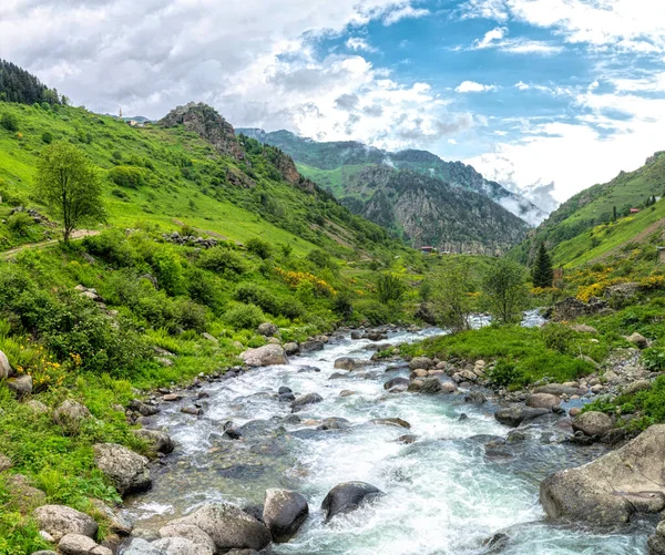 Voorjaar Bergdal Snelle Rivier — Stockfoto