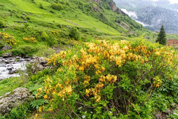 Névoa Nas Montanhas Primavera Paisagem Cênica Cáucaso — Fotografia de Stock