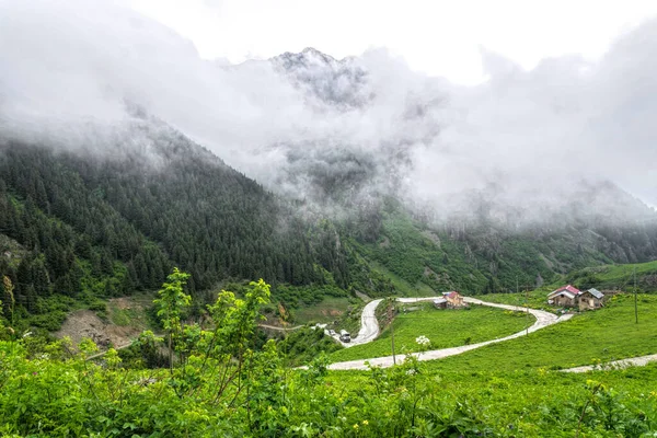 Bergweg Stormwolken Alpenweiden — Stockfoto