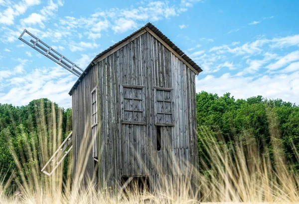 古い放棄された木製のミルと小麦の夏のフィールド — ストック写真