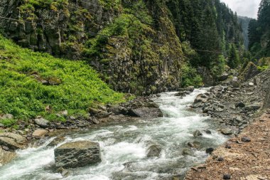 Bahar Vadisi ve Hızlı Nehir
