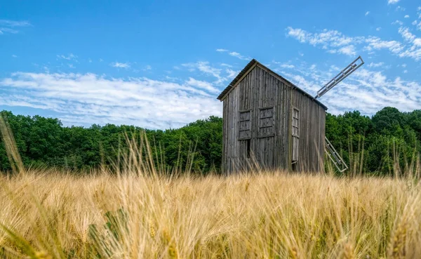 Antiguo Molino Madera Abandonado Campo Verano Trigo —  Fotos de Stock