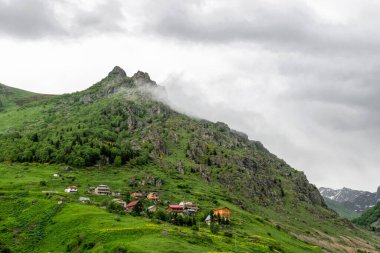 Dağlarda sis var. Bahar kırsal manzara manzarası