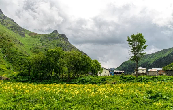 山の中の霧 春の田園風景 — ストック写真