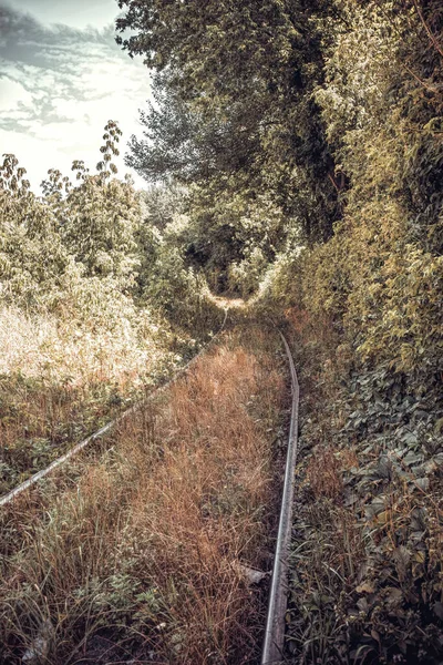 Mysteriöse Verlassene Eisenbahn Und Waldlandschaft — Stockfoto