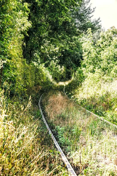 Mysterious Abandoned Railroad Forest Landscape — 스톡 사진