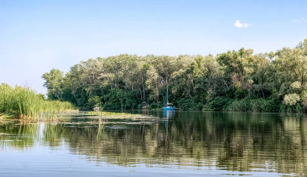 River Pleasure Boat Swampy Riverbanks Louisiana — Stock Photo, Image