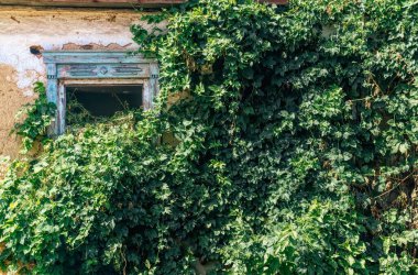 Kırık bir kerpiç evinin kırık penceresi.