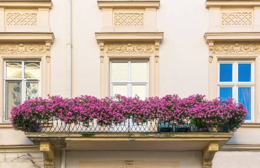 Çiçeklerle süslenmiş antik pencere ve balkon