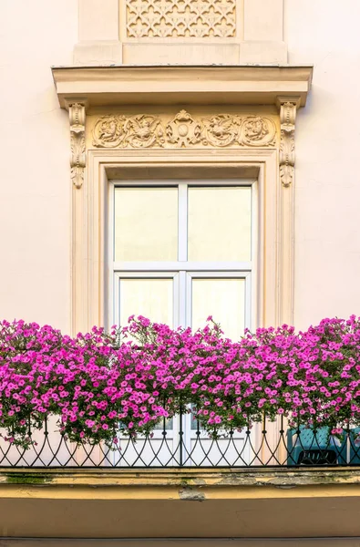 Антикварное Окно Балкон Украшены Цветами — стоковое фото