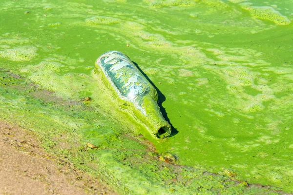 Botella Basura Agua Verde Contaminada Río — Foto de Stock