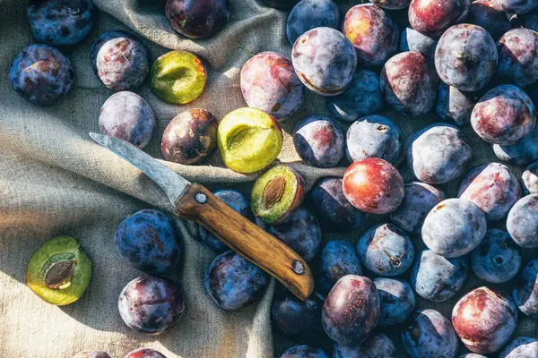 Harvest Summer Plums Table Cooking Jam — Stock Photo, Image