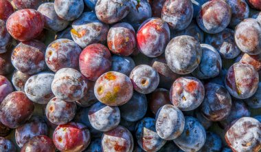Masadaki yaz eriklerini hasat et. Reçel pişirme