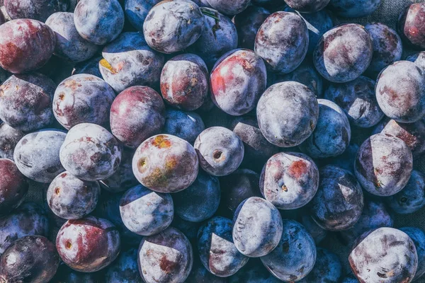 Skörda Sommarplommon Bordet Matlagningssylt — Stockfoto