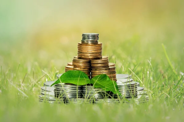 Coin Pyramid Making Money Concept — Stock Photo, Image