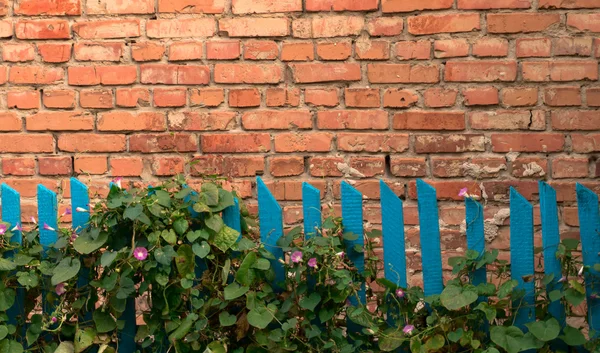 Bright fence on the old wall background — Stock Photo, Image