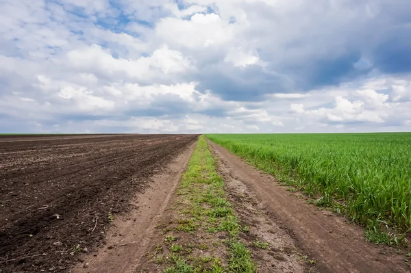 Oekraïne, een omgeploegde veld en tarweveld — Stockfoto