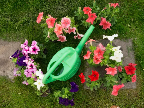 Bright garden tools — Stock Photo, Image