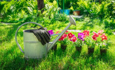 Bahçede çalışmak. Dinlenme ruhu için