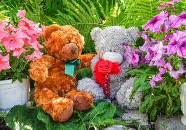 Oyuncak ayılar bahçede