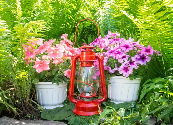 Eski gaz lambası ve Petunyalar bahçede