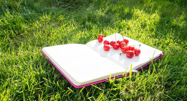 Juicy cherry. Summer berries — Stock Photo, Image