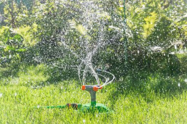 Bahçedeki çimleri suluyorum.