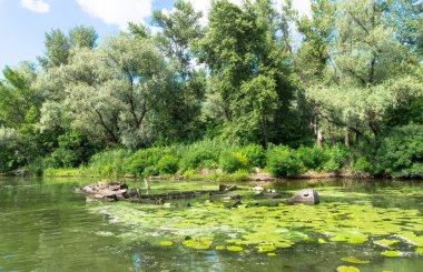 Dinyeper kıyısında romantik bir yolculuk