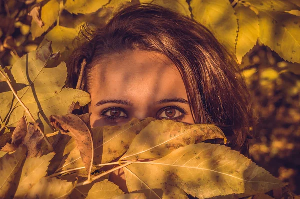 Waldnymphe mit östlichen Augen — Stockfoto