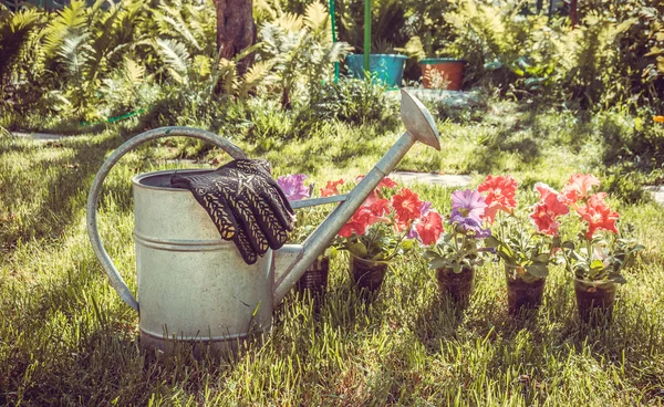 Old-fashioned  watering — Stock Photo, Image