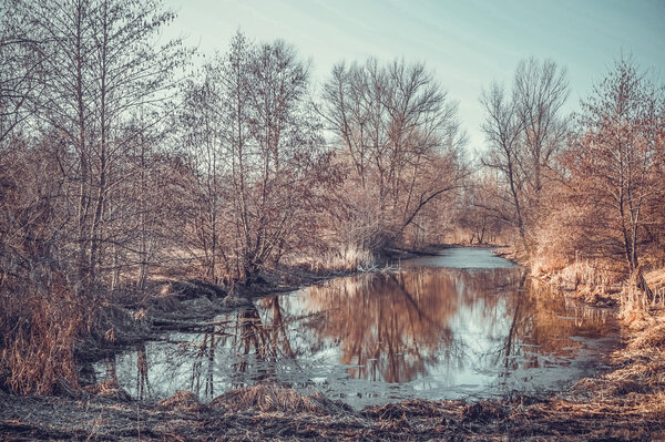 Reflection of trees in water. Early spring