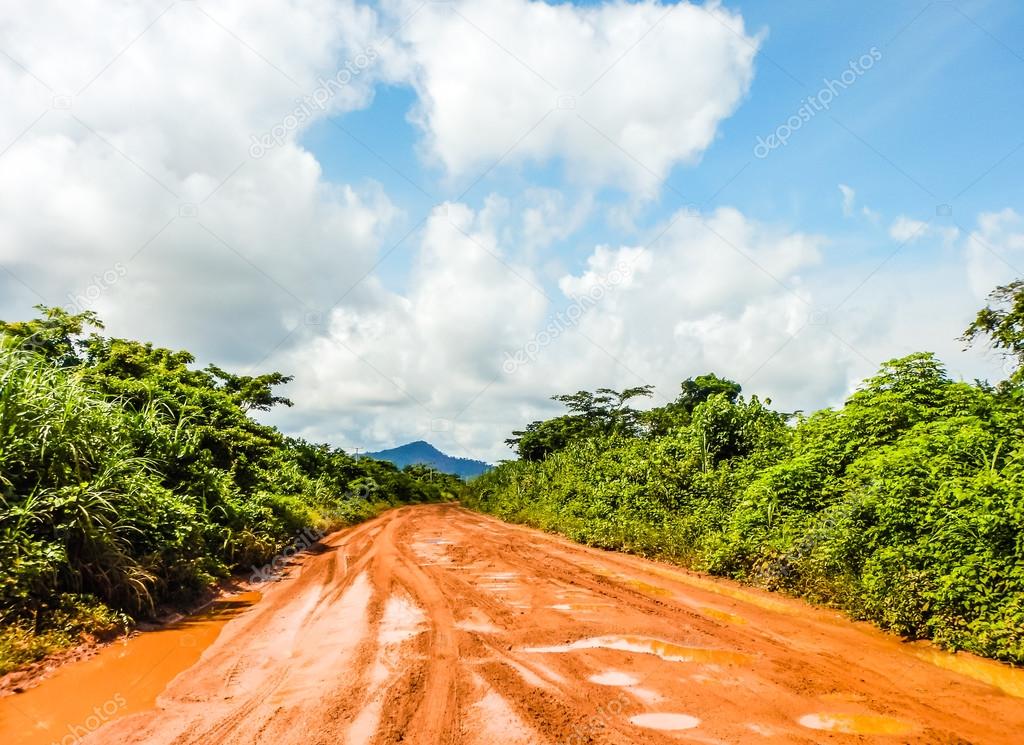 The road through the jungle after a rain shower. Liberia, West Africa