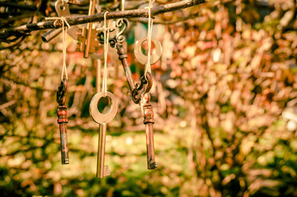 Elegant vintage keys as garden decoration and interior design. Rustic style