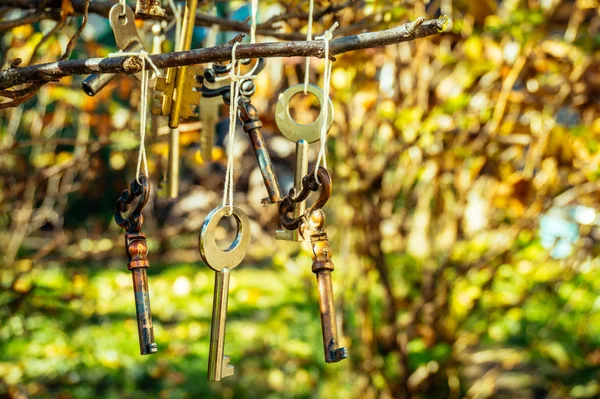 Şenlikli şık Bahçe