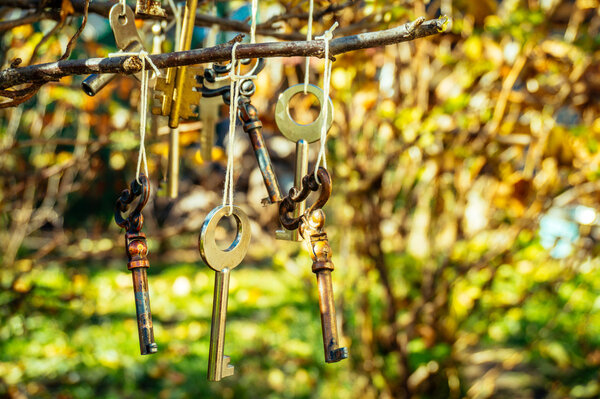 Праздничный элегантный сад
