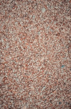 Sahilde küçük deniz kabukları