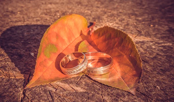 Осенняя свадьба — стоковое фото