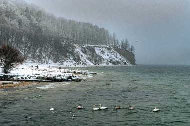 Gdynia 'da Kış Baltık Denizi Sahili