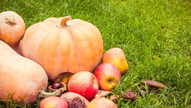 Sonbahar kabak, elma ve kestane