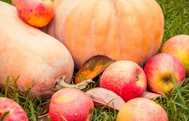 Sulu Kırmızı elma ve olgun turuncu Halloween için kabak