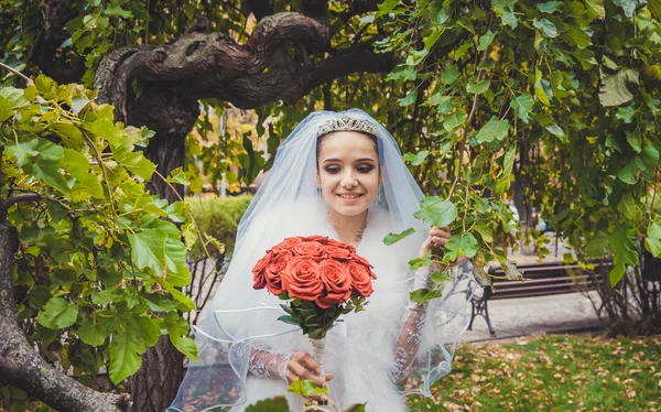 Трогательная красота. Невеста в красивом парке — стоковое фото
