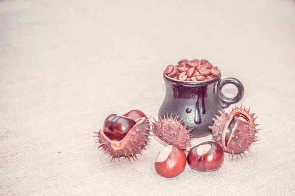 Kaffebönor och frukter av kastanj — Stockfoto