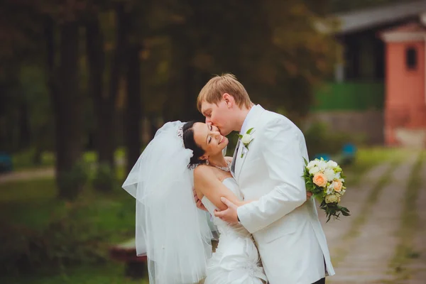 Beijo de casamento apaixonado — Fotografia de Stock