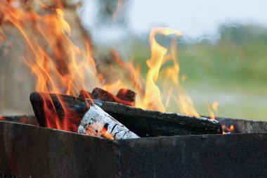 Alev alev yanan günlükleri. Kütük yangın Barbekü için