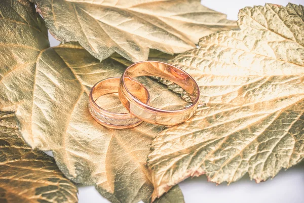 Свадебное кольцо и золотые листья — стоковое фото
