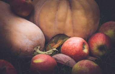 Cadılar Bayramı için güzel süslemeleri.