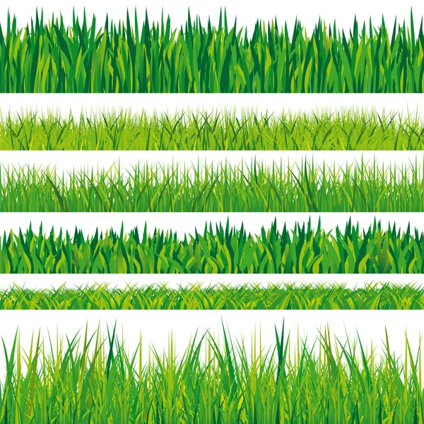 Grass texture samling, isolerad på vit bakgrund — Stock vektor